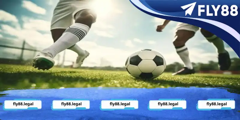 Cách tham gia chơi kèo chấp 0.5 là gì Cách tham gia chơi kèo chấp 0.5 là gì